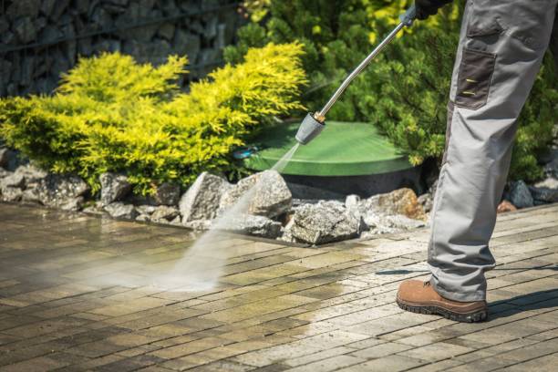 Best Roof Washing  in Meridian Village, CO
